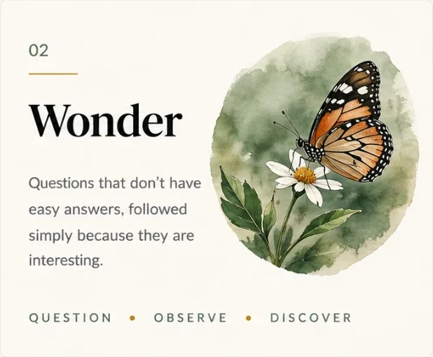 Wonder — a butterfly resting on a flower, with the words Question, Observe, Discover.